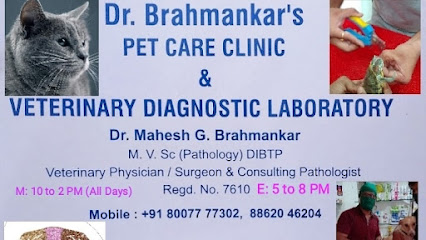 Dr. Brahmankar's Vet Pet Clinic