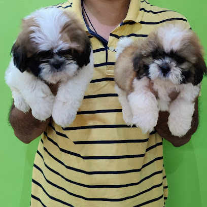 Prayag Pet And Kennel