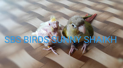 SBS BIRDS SUNNY SHAIKH