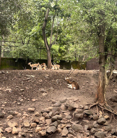 Sankalp Swayam Rojgar Kendra