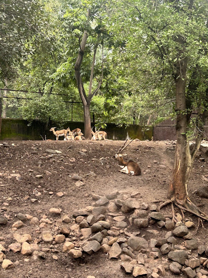 Sankalp Swayam Rojgar Kendra