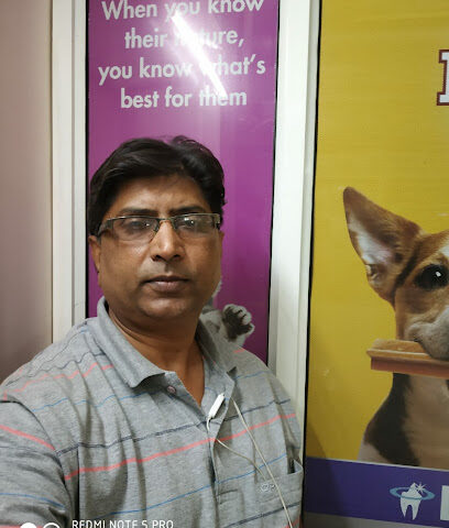 Vet Pet Dog Cat Clinic