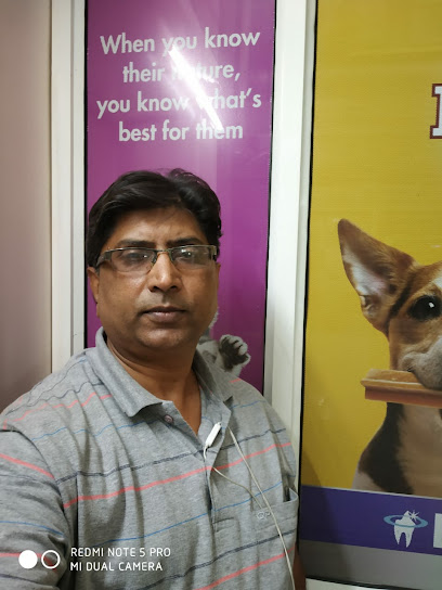 Vet Pet Dog Cat Clinic